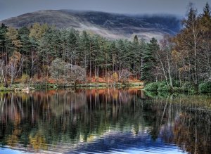 Лес и озеро в Шотландии - скачать обои на рабочий стол