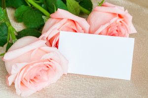 Нежные розы с посланием - скачать обои на рабочий стол