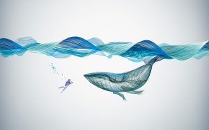 Синий кит - скачать обои на рабочий стол