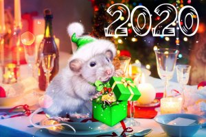 Новая 2020 мышка - скачать обои на рабочий стол