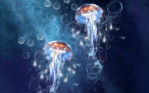 Морские обитатели медузы - скачать обои на рабочий стол