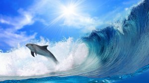 Дельфин прыгает в морских волнах  - скачать обои на рабочий стол