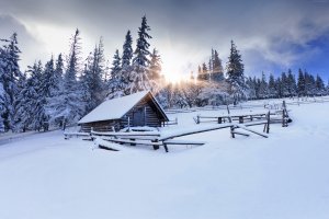 Маленький дом в зимнем лесу - скачать обои на рабочий стол