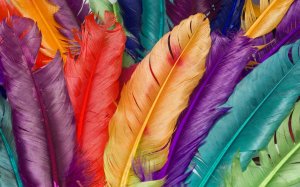 Разноцветные перья - скачать обои на рабочий стол