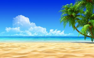 Пальма и песочный пляж  - скачать обои на рабочий стол