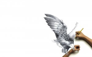 Летящий орел рисунок карандашом - скачать обои на рабочий стол