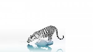 Тигр иллюстрация - скачать обои на рабочий стол