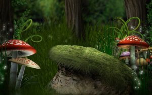 Сказочные грибы в лесу - скачать обои на рабочий стол