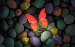 Бабочка на разноцветных камнях - скачать обои на рабочий стол