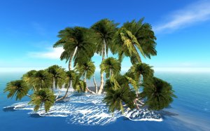 Пушистые пальмы на острове  - скачать обои на рабочий стол