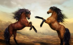 Красивые лошади на дыбах - скачать обои на рабочий стол