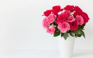 Красно-розовые розы в вазе - скачать обои на рабочий стол