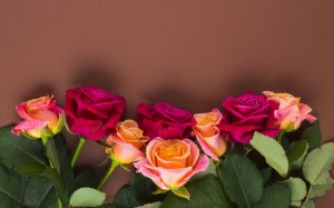 Розы на коричневом фоне  - скачать обои на рабочий стол