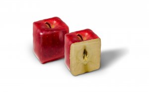 Квадратное яблоко в разрезе - скачать обои на рабочий стол