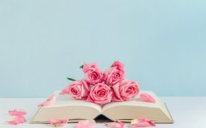 Нежные розы на раскрытой книге  - скачать обои на рабочий стол