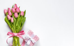 Тюльпаны в подарок  - скачать обои на рабочий стол