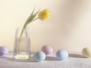 Тюльпан и пасхальные яица - скачать обои на рабочий стол