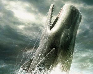 Прыжок большого кита - скачать обои на рабочий стол