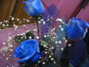Три синие розы - скачать обои на рабочий стол