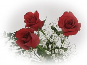 Розы и ромашки - скачать обои на рабочий стол