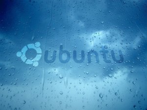 Ubuntu и капли дождя - скачать обои на рабочий стол