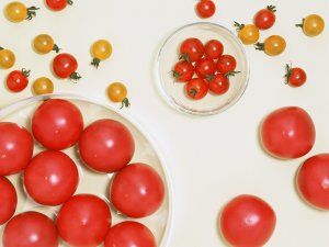 Какие раазные помидоры - скачать обои на рабочий стол