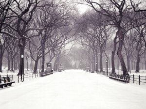 Зимний городской пейзаж - скачать обои на рабочий стол