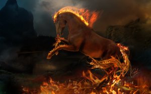 Конь в огне - скачать обои на рабочий стол