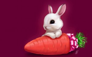 Кролик и морковка - скачать обои на рабочий стол