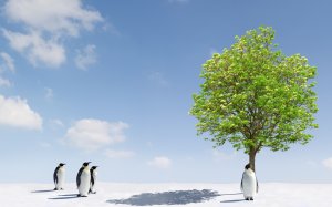 Пингвины и дерево - скачать обои на рабочий стол
