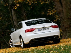 Audi A5  в лесу - скачать обои на рабочий стол
