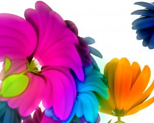 Цветочная радуга - скачать обои на рабочий стол