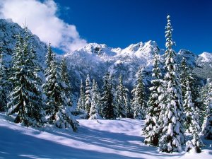 Зима в горах - скачать обои на рабочий стол