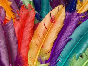 Разноцветные перья - скачать обои на рабочий стол