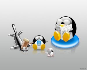 Обои для рабочего стола: Пингви