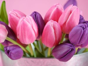 Весенние цветочки - скачать обои на рабочий стол