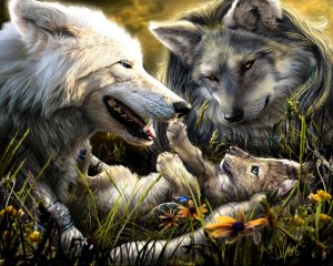 Обои для рабочего стола: Семейство волков