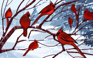 Обои для рабочего стола: Красные птицы