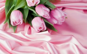 Букет розовых тюльпанов - скачать обои на рабочий стол