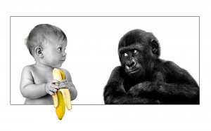 Обои для рабочего стола: Ребенок и обезьянка