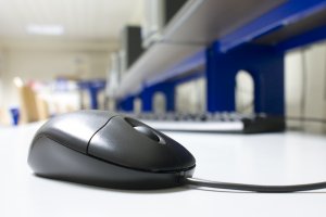 Обои для рабочего стола: Компьютерная мышка