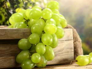 Белый виноград - скачать обои на рабочий стол