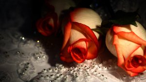 Розы на бисере - скачать обои на рабочий стол