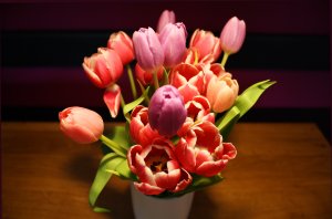 Обои для рабочего стола: Тюльпаны в вазоне