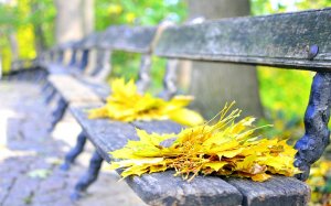 Осенняя листва на скамье - скачать обои на рабочий стол