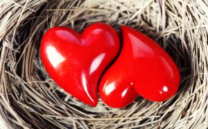 Обои для рабочего стола: Любящие сердца