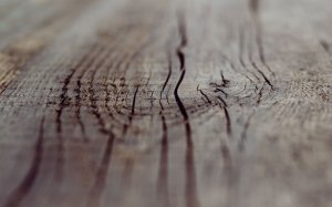 Обои для рабочего стола: Текстура дерева