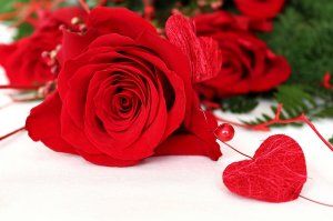 Обои для рабочего стола: Роза и сердце