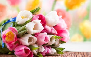 Букет цветных тюльпанов - скачать обои на рабочий стол
