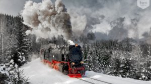 Обои для рабочего стола: Поезд в зимнем лесу